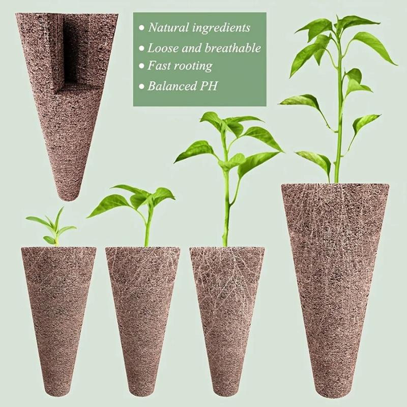 Aerogarden Seed Pod - Kit di 67 pezzi per semi