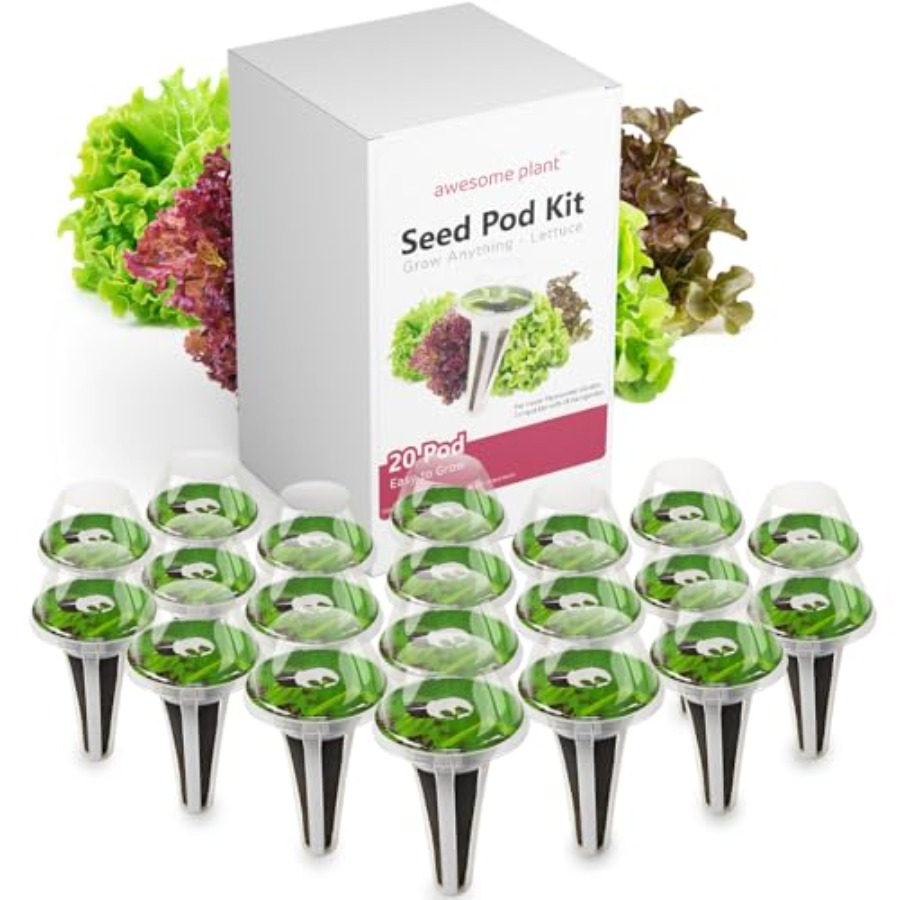 Aerogarden Seed Pod - Kit di 20 Semi per Lattuga