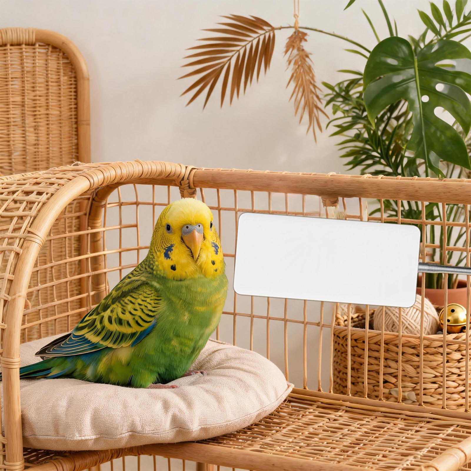 Smart Garden Bird Bath - Riscaldatore per Animali Domestici 5V Sicuro,