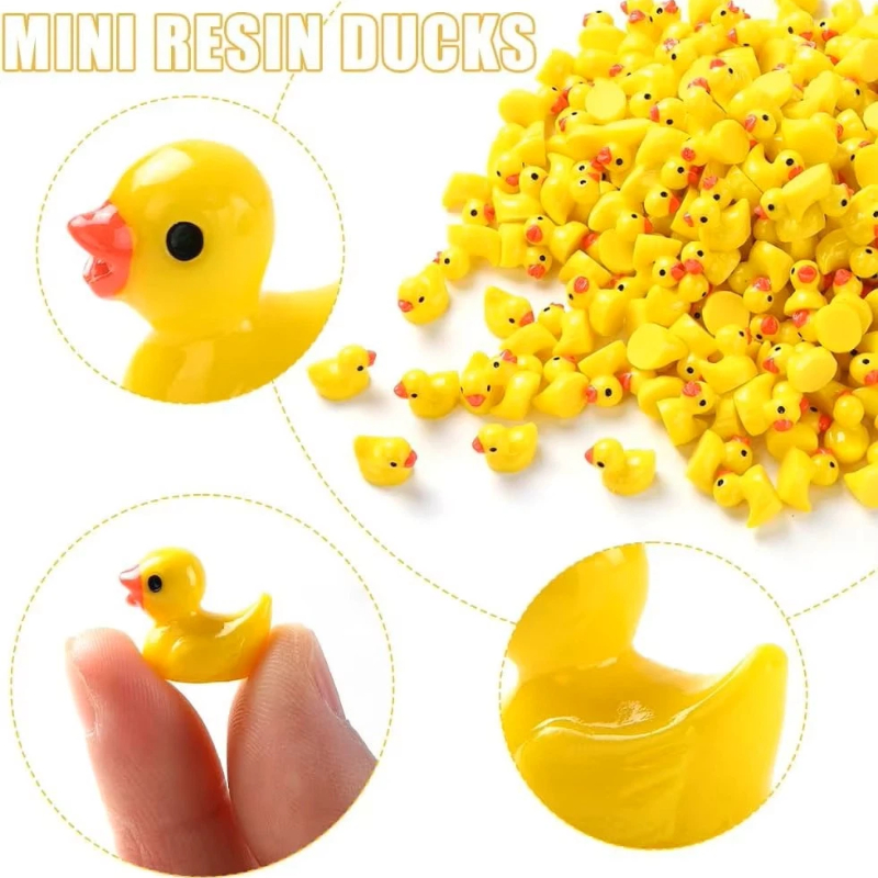 Smart Garden Diy - Mini Anatre in Resina all'Ingrosso, Piccole