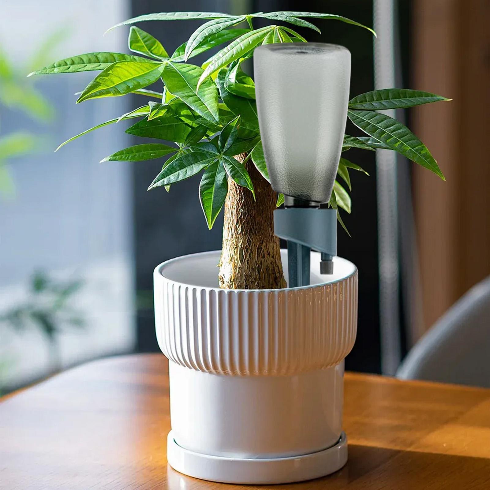 Set di 6 Irrigatori Automatici - Smart Garden Herb recensione e prezzo