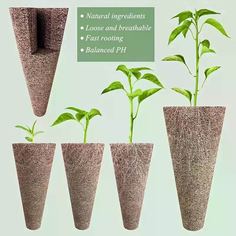 Kit di capsule per semi per Ae - Aerogarden Seed Pod recensione e prezzo