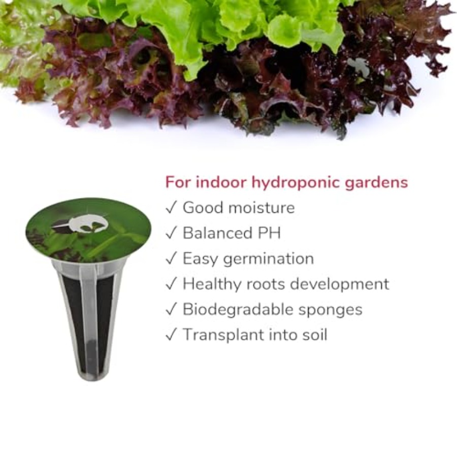 Kit di 20 Semi per Lattuga Ver - Aerogarden Seed Pod recensione e prezzo