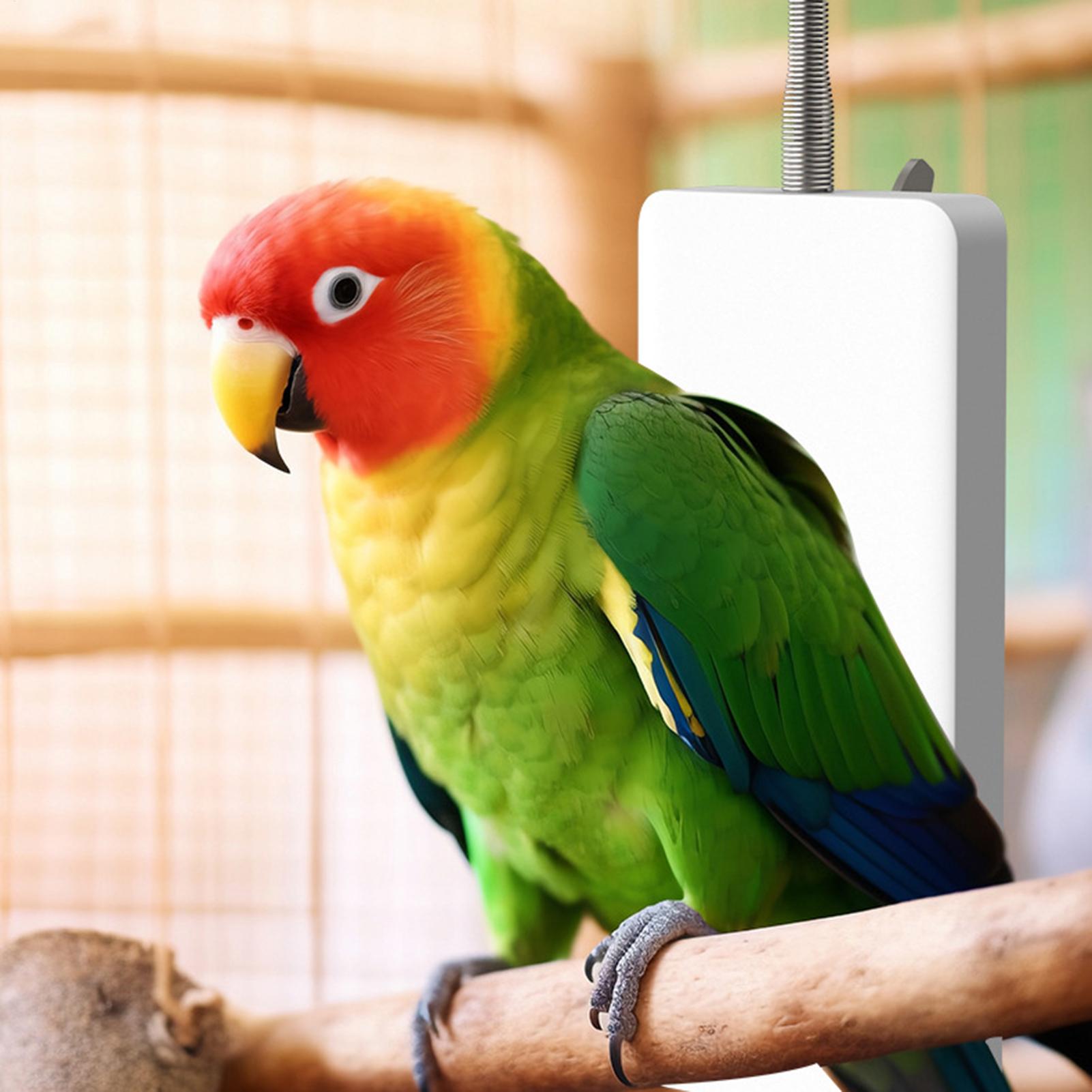 Riscaldatore per Animali Domes - Smart Garden Bird Bath recensione e prezzo