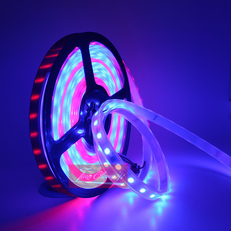 Striscia LED RGB 5050 WS2811 I - Smart Garden Diy recensione e prezzo