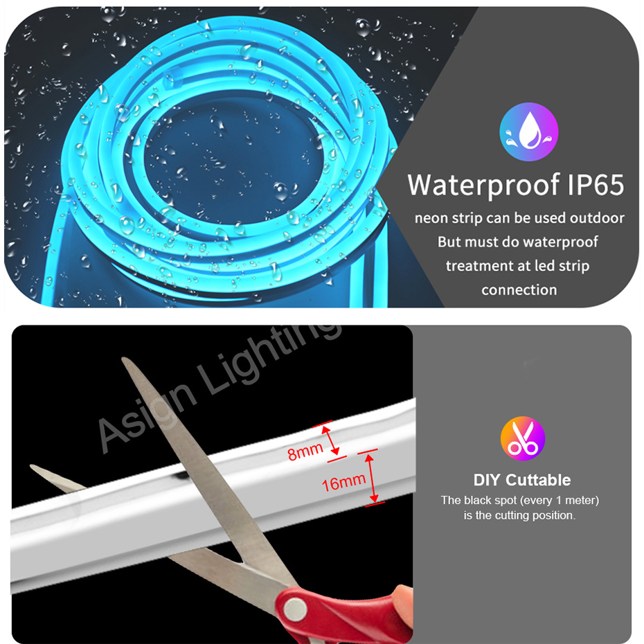 Smart RGB Led Neon Light EU UK - Smart Garden Uk recensione e prezzo