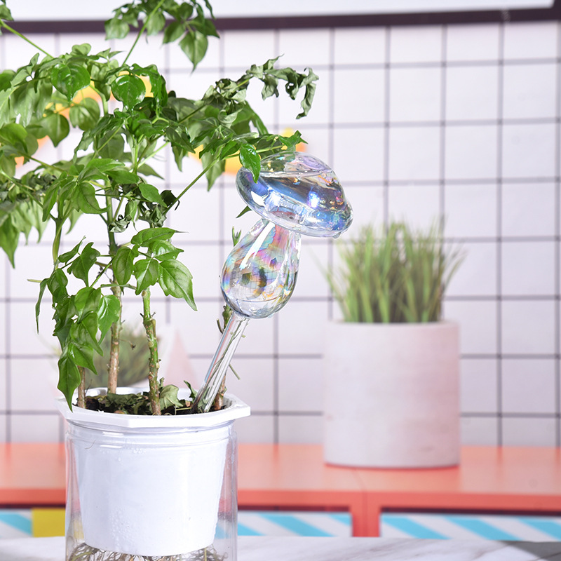 1/2PCS Paglia di vetro Automat - Smart Garden Herb recensione e prezzo