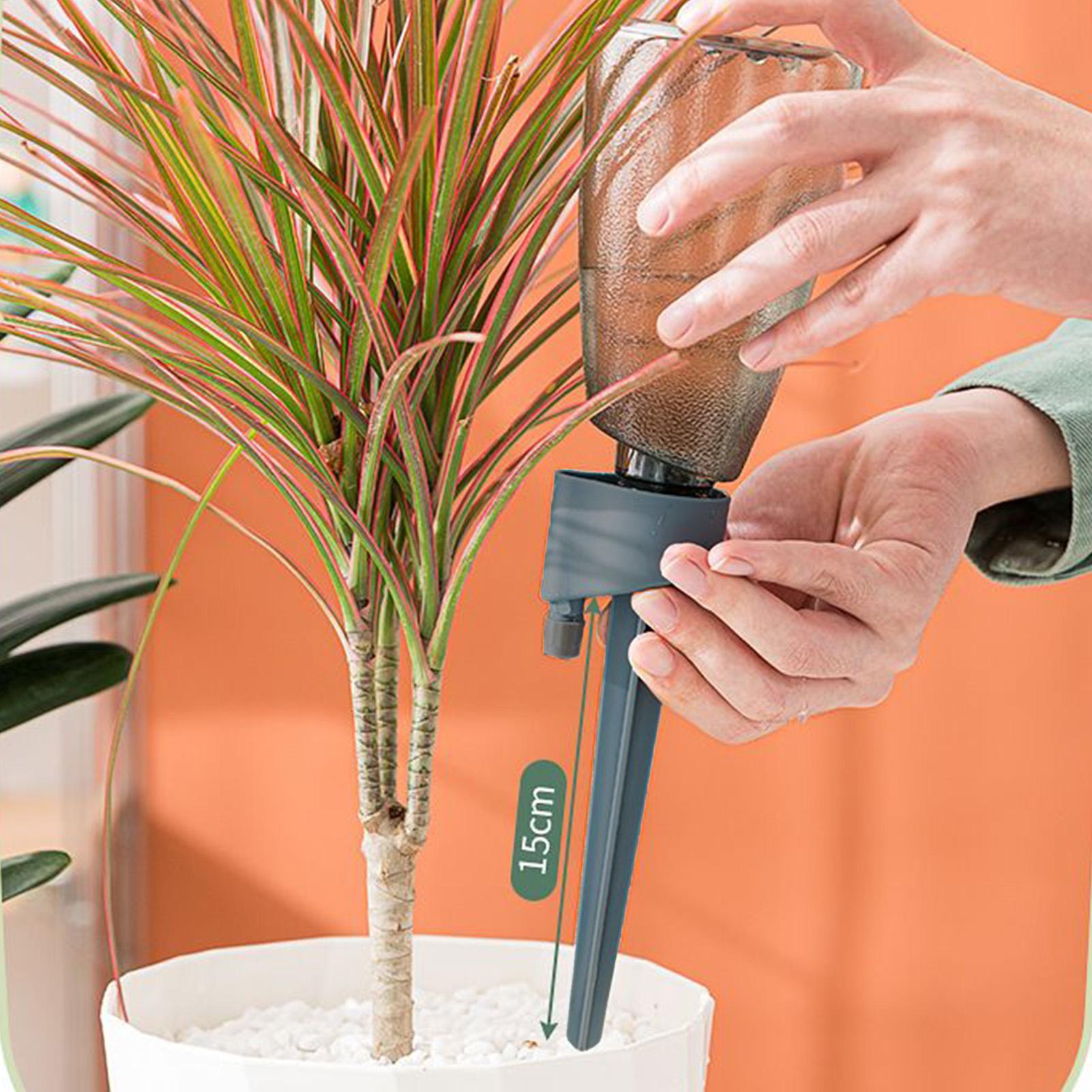 Set di 6 Irrigatori Automatici - Smart Garden Herb recensione e prezzo