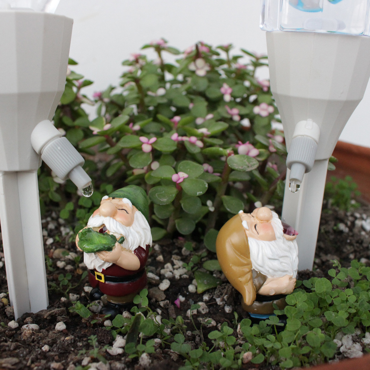 2 set annaffiatoio automatico  - Smart Garden Watering Can recensione e prezzo