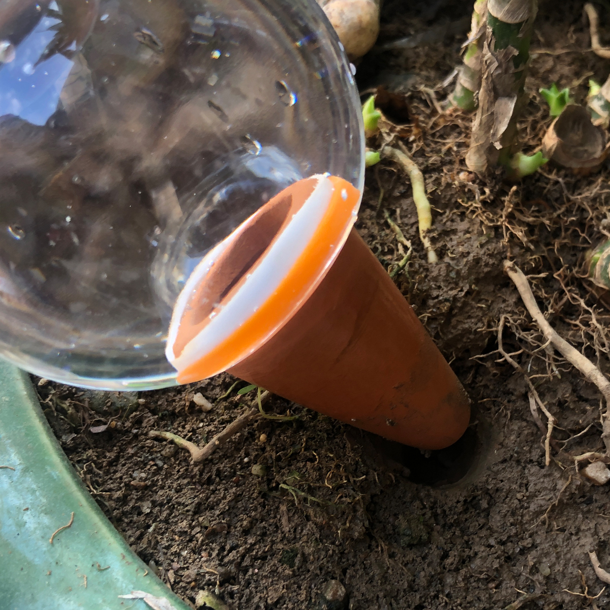 2 Pezzi Sistema Automatico di  - Smart Garden Herb recensione e prezzo