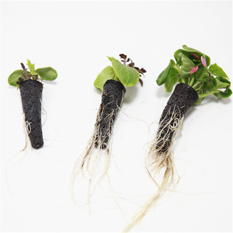 50/100pcs Cestino per coltivaz - Aerogarden Seed Pod recensione e prezzo