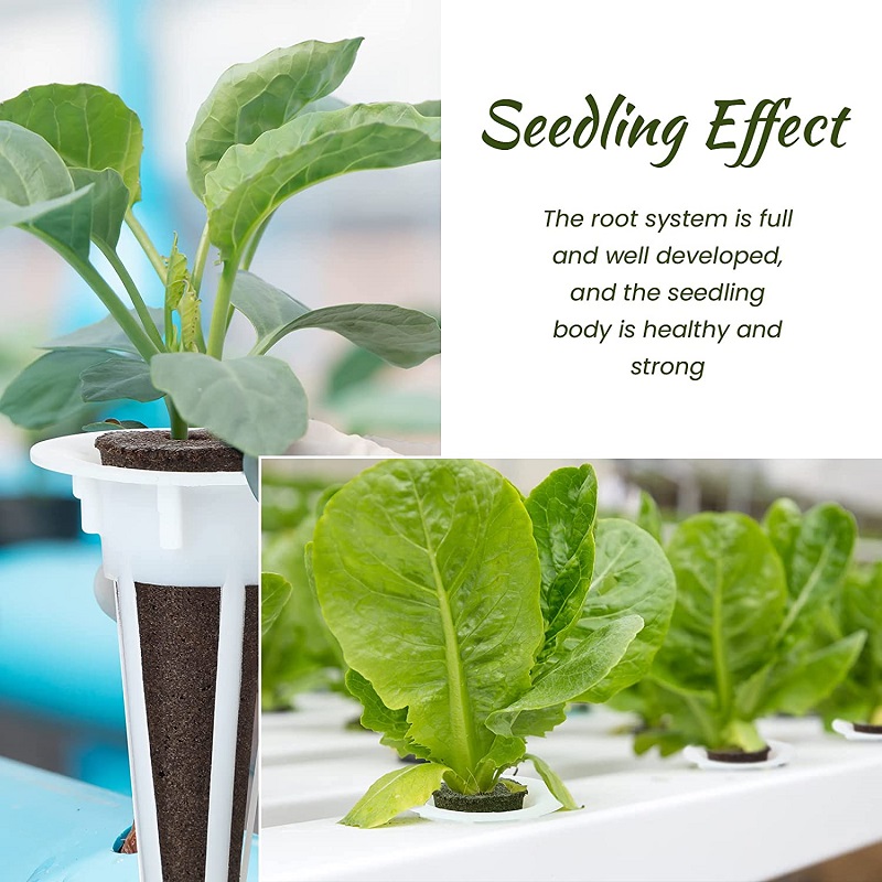 50/100pcs Cestino per coltivaz - Aerogarden Seed Pod recensione e prezzo