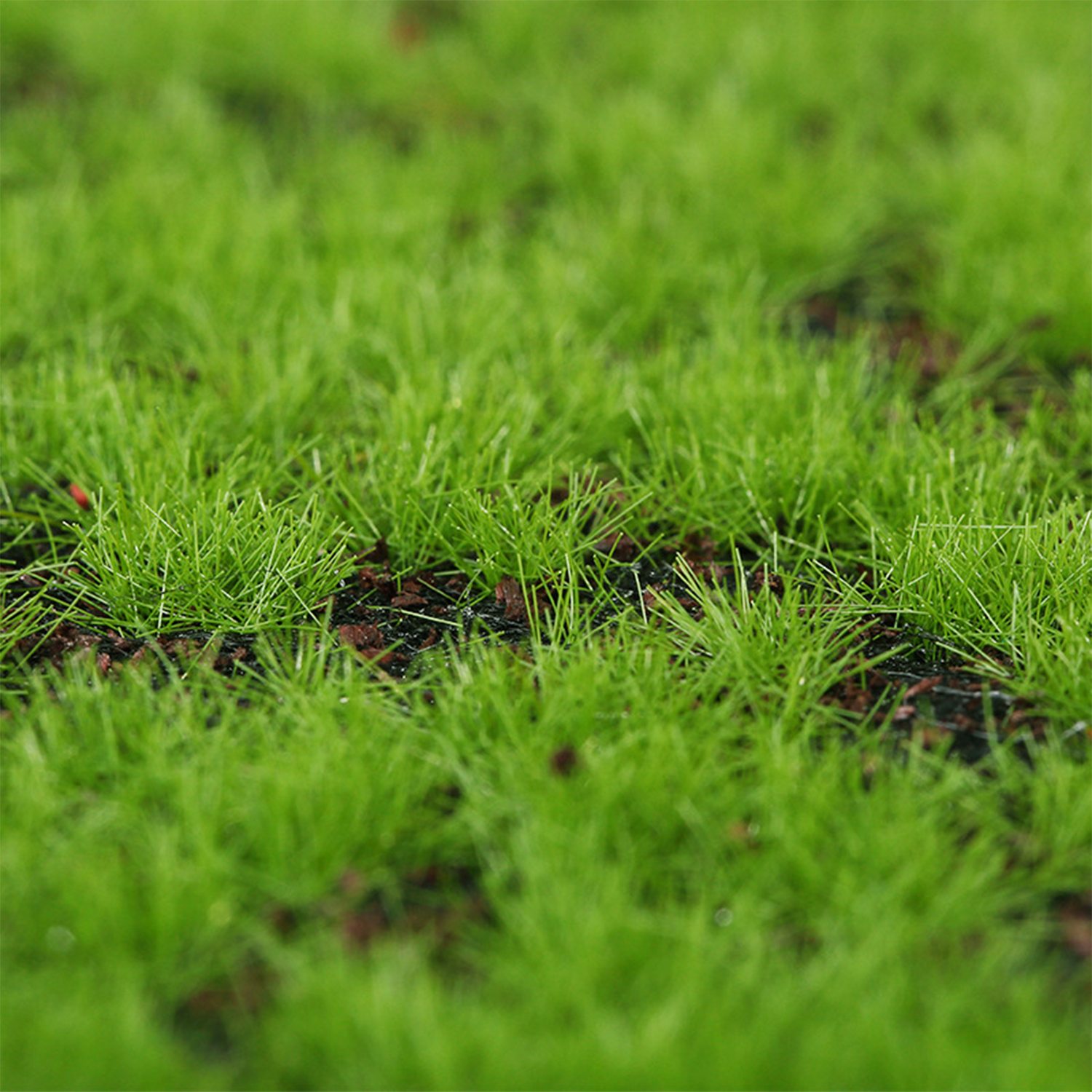Muschio artificiale Turf Simul - Smart Garden Diy recensione e prezzo